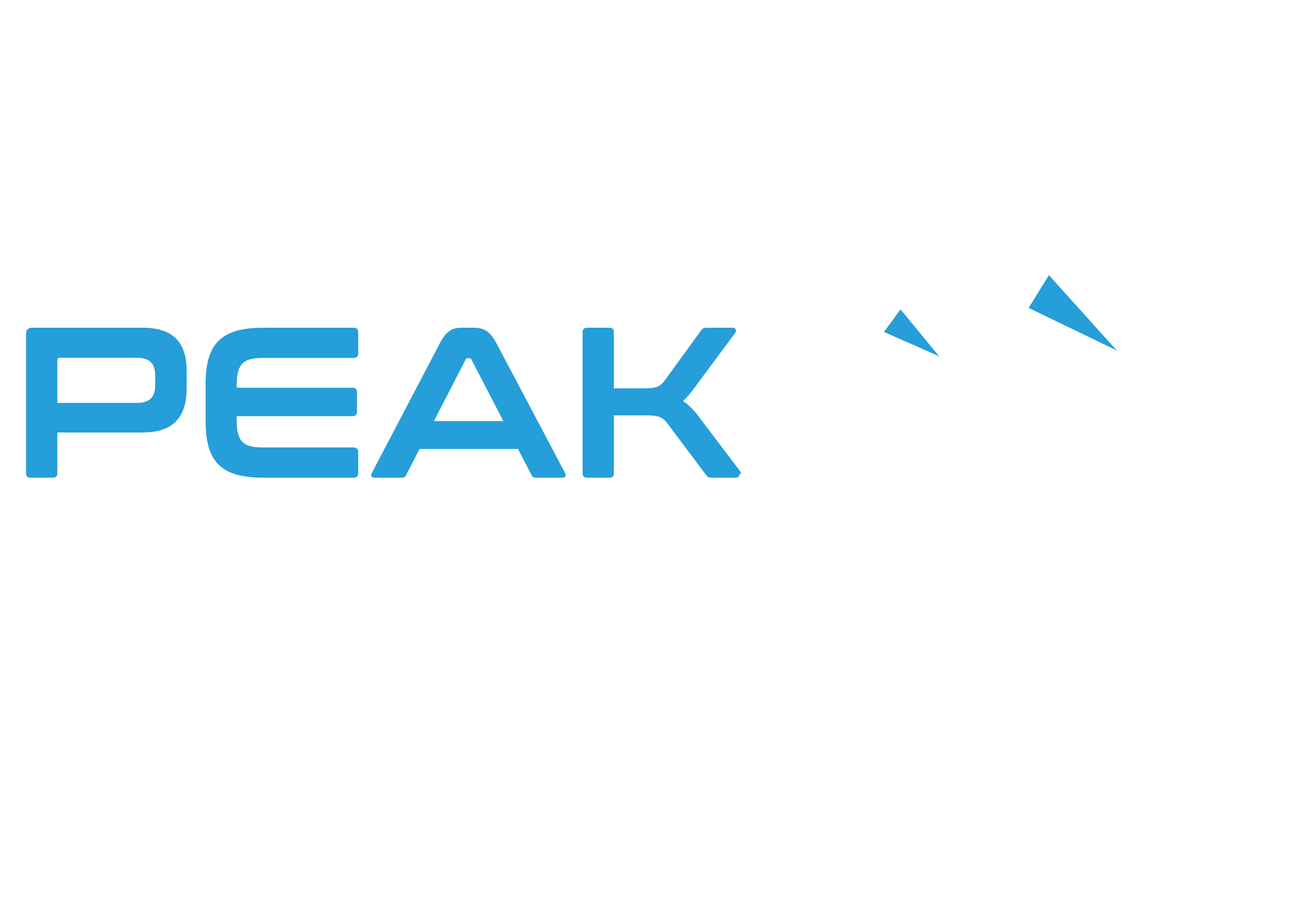 Peak Physique Gym logo